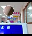 转移因子针剂
